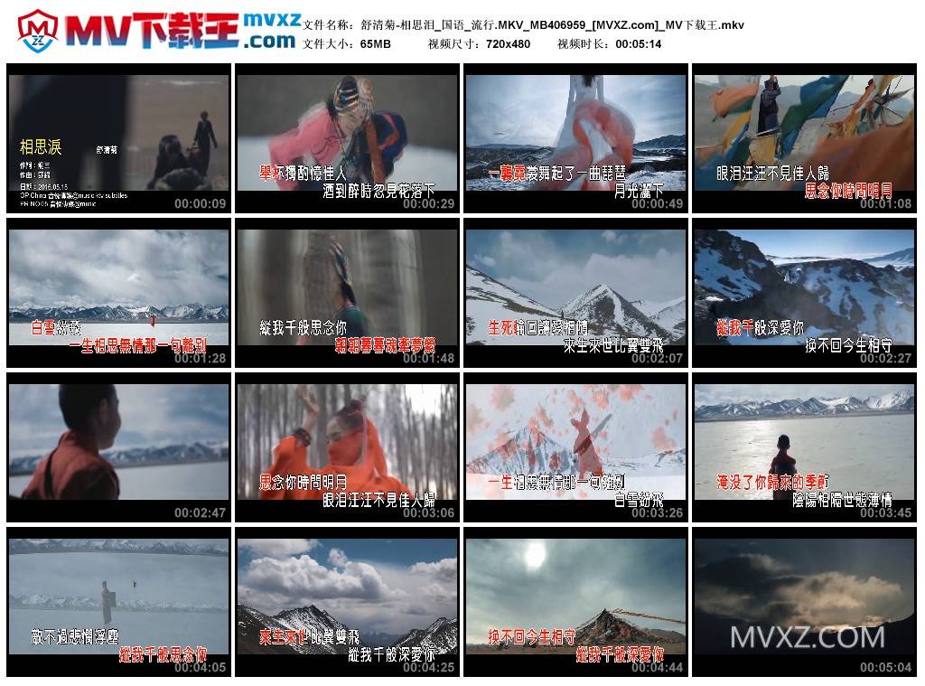 舒清菊-相思泪_国语_流行.MKV_MB406959